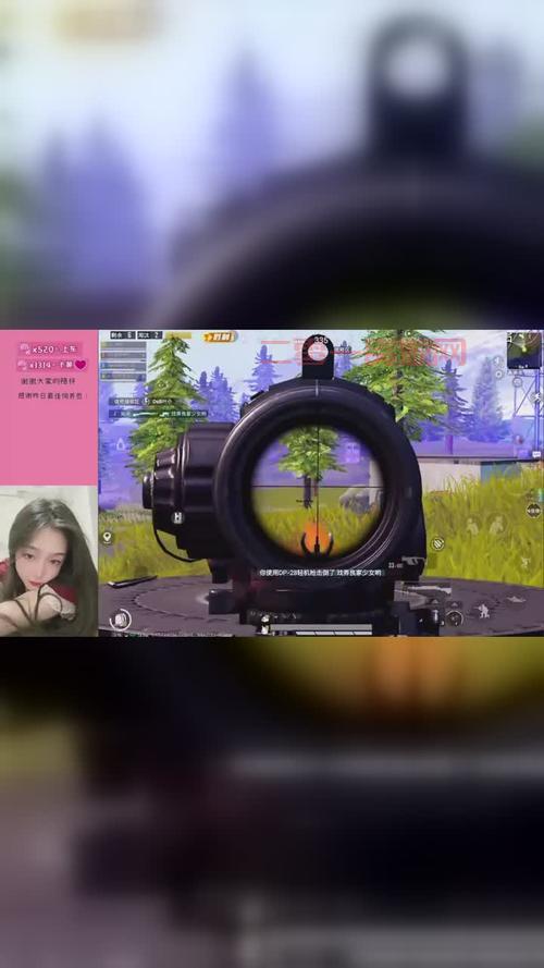 西瓜视频看ld精英（港剧ID精英在线观看）