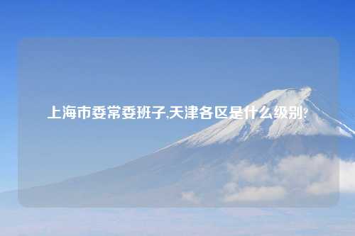 上海市委常委班子,天津各区是什么级别?