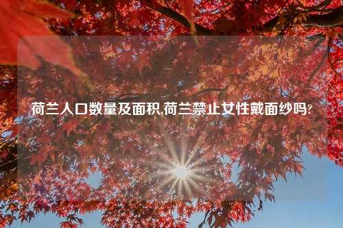 荷兰人口数量及面积,荷兰禁止女性戴面纱吗?