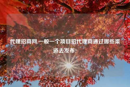 代理招商网,一般一个项目招代理商通过哪些渠道去发布?