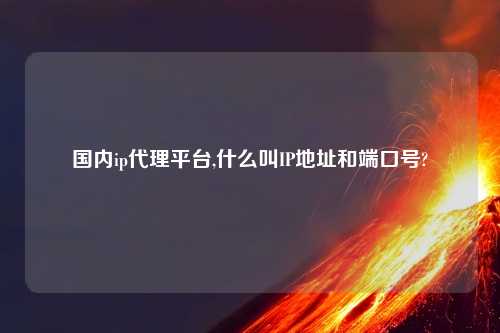 国内ip代理平台,什么叫IP地址和端口号?
