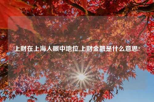 上财在上海人眼中地位,上财金融是什么意思?