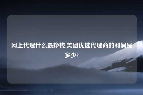网上代理什么最挣钱,美团优选代理商的利润是多少?