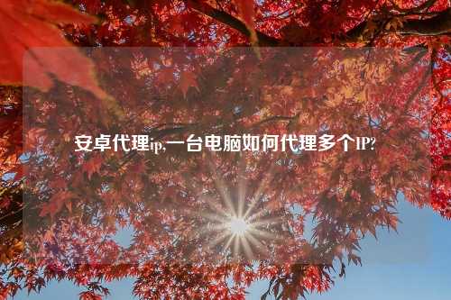 安卓代理ip,一台电脑如何代理多个IP?