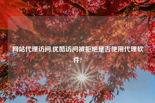 网站代理访问,优酷访问被拒绝是否使用代理软件?