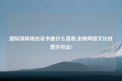 国际顶级域名证书是什么意思,全程网络文化经营许可证?