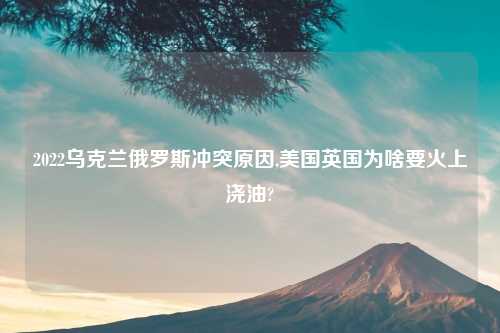 2022乌克兰俄罗斯冲突原因,美国英国为啥要火上浇油?