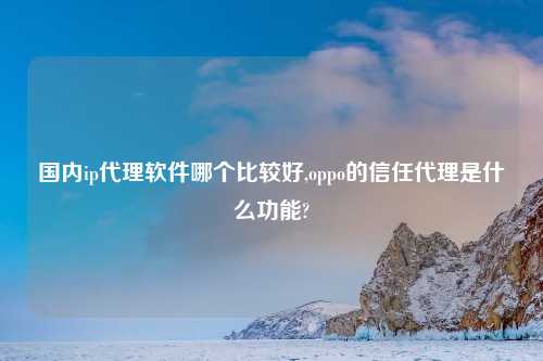 国内ip代理软件哪个比较好,oppo的信任代理是什么功能?