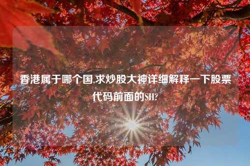 香港属于哪个国,求炒股大神详细解释一下股票代码前面的SH?