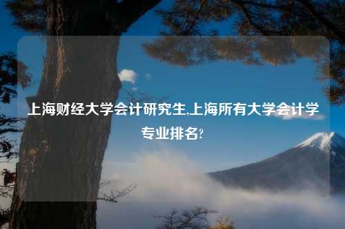 上海财经大学会计研究生,上海所有大学会计学专业排名?