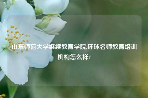 山东师范大学继续教育学院,环球名师教育培训机构怎么样?