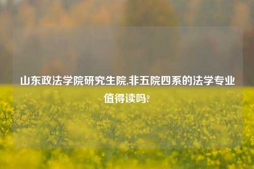 山东政法学院研究生院,非五院四系的法学专业值得读吗?