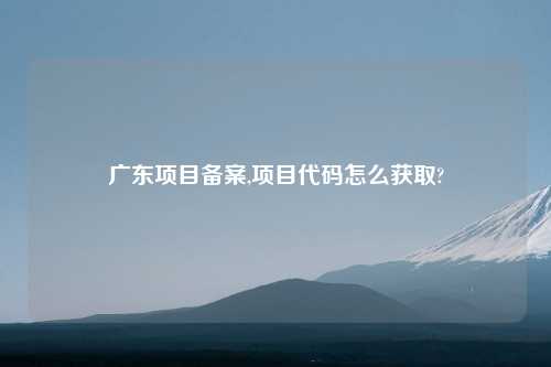 广东项目备案,项目代码怎么获取?