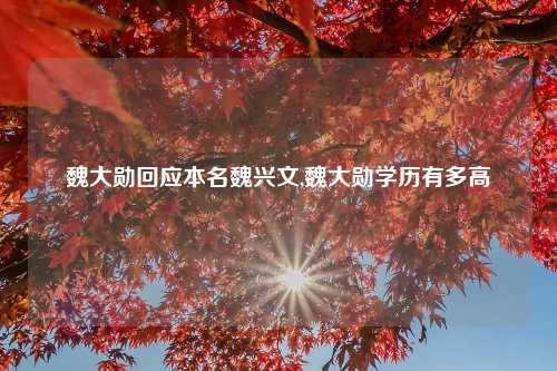 魏大勋回应本名魏兴文,魏大勋学历有多高