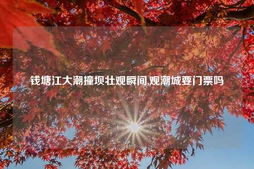 钱塘江大潮撞坝壮观瞬间,观潮城要门票吗