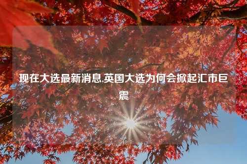 现在大选最新消息,英国大选为何会掀起汇市巨震