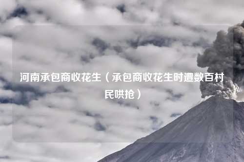 河南承包商收花生（承包商收花生时遭数百村民哄抢）