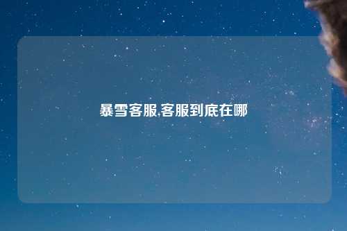 暴雪客服,客服到底在哪