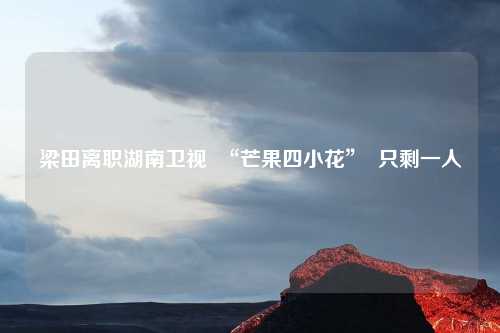 梁田离职湖南卫视  “芒果四小花”  只剩一人