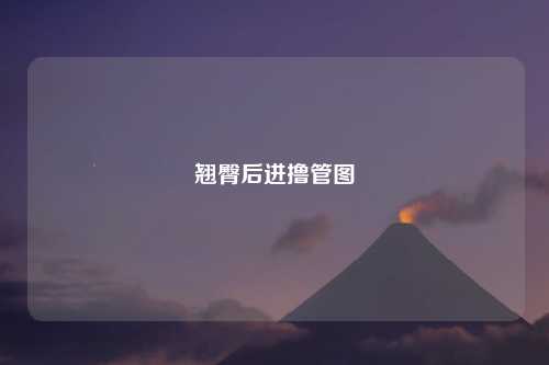 翘臀后进撸管图