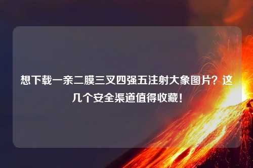 想下载一亲二膜三叉四强五注射大象图片？这几个安全渠道值得收藏！