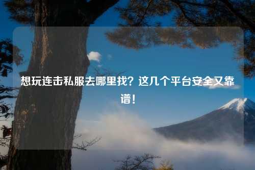 想玩连击私服去哪里找？这几个平台安全又靠谱！