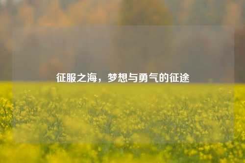 征服之海，梦想与勇气的征途