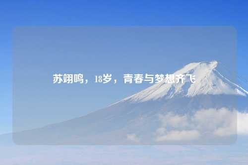 苏翊鸣，18岁，青春与梦想齐飞