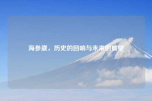 海参崴，历史的回响与未来的展望