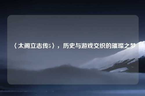 〈太阁立志传5〉，历史与游戏交织的璀璨之梦