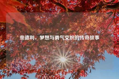 奈德利，梦想与勇气交织的传奇故事