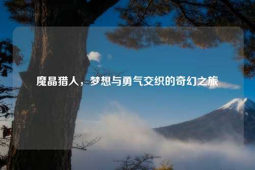 魔晶猎人，梦想与勇气交织的奇幻之旅