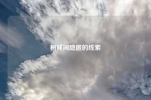树林间隐匿的线索