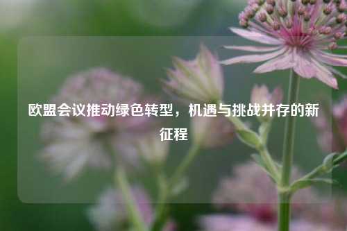 欧盟会议推动绿色转型，机遇与挑战并存的新征程
