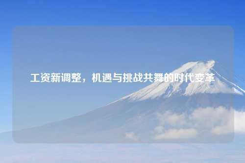 工资新调整，机遇与挑战共舞的时代变革