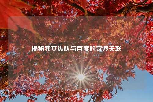揭秘独立纵队与百度的奇妙关联