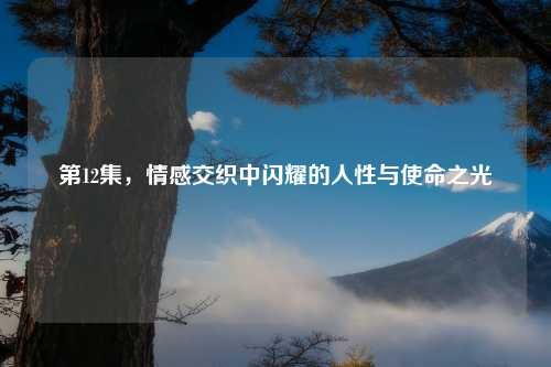 第12集，情感交织中闪耀的人性与使命之光