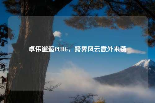 卓伟邂逅PUBG，跨界风云意外来袭