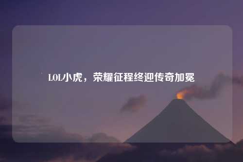 LOL小虎，荣耀征程终迎传奇加冕