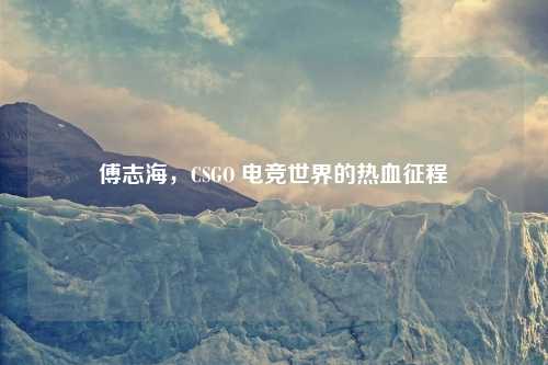 傅志海，CSGO 电竞世界的热血征程