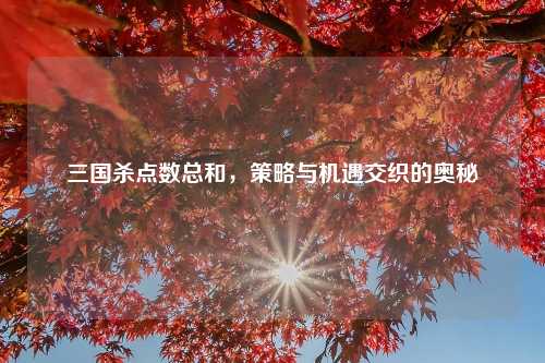 三国杀点数总和，策略与机遇交织的奥秘