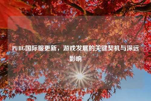 PUBG国际服更新，游戏发展的关键契机与深远影响