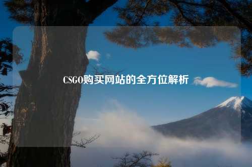 CSGO购买网站的全方位解析