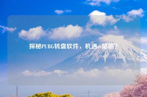 探秘PUBG转盘软件，机遇or陷阱？