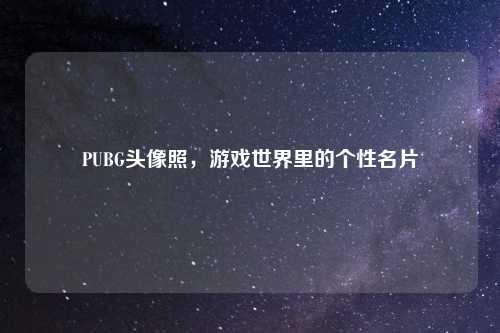 PUBG头像照，游戏世界里的个性名片