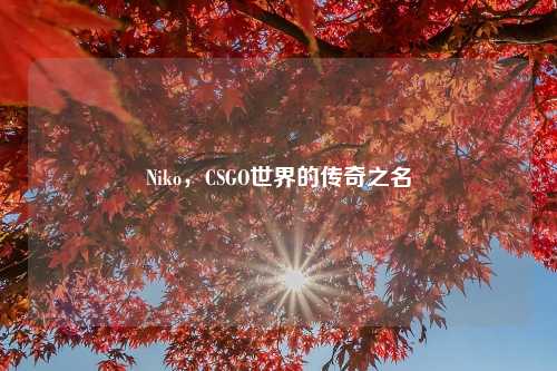 Niko，CSGO世界的传奇之名