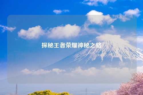 探秘王者荣耀神秘之貉