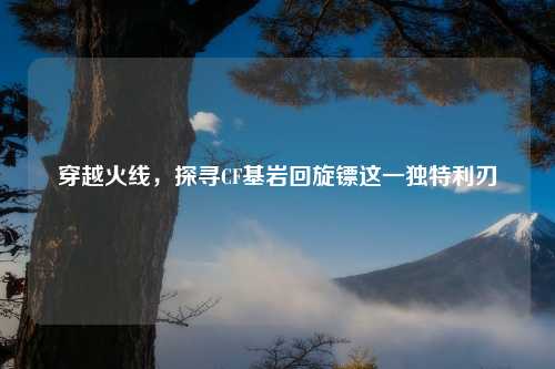 穿越火线，探寻CF基岩回旋镖这一独特利刃