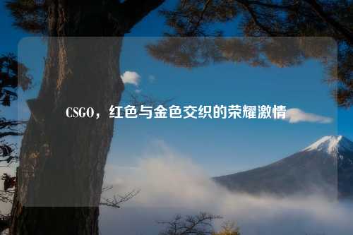 CSGO，红色与金色交织的荣耀激情