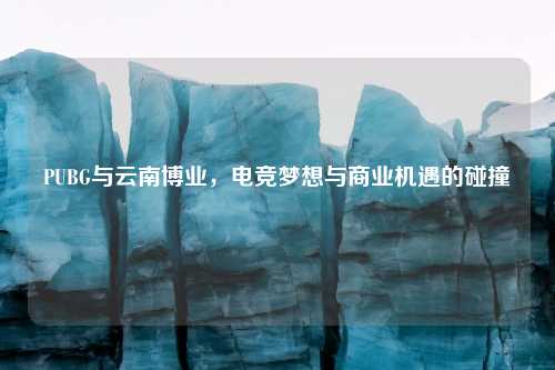 PUBG与云南博业,电竞梦想与商业机遇的碰撞